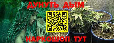 сатива Чапаевск