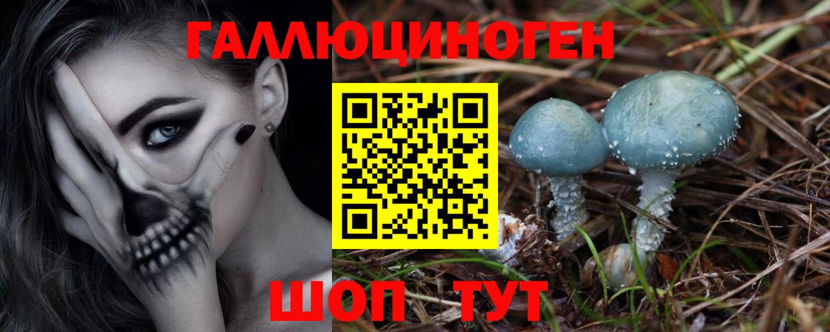Галлюциногенные грибы GOLDEN TEACHER Вязьма