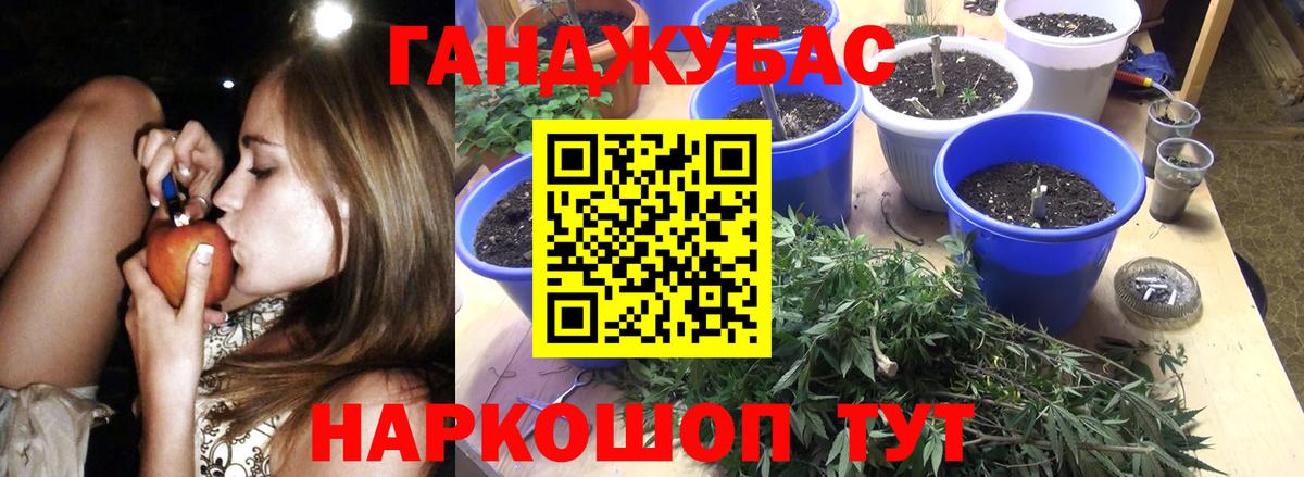 Шишки марихуана Amnesia Вязьма